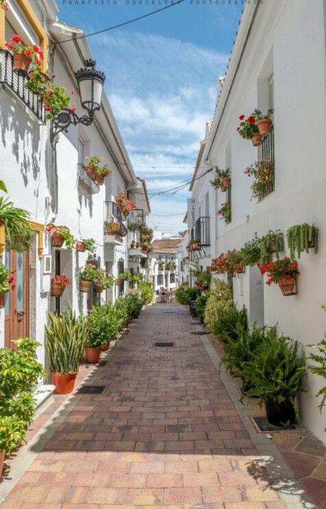 TREBOL Apartamentos Benalmádena Arroyo De La Miel Exterior foto